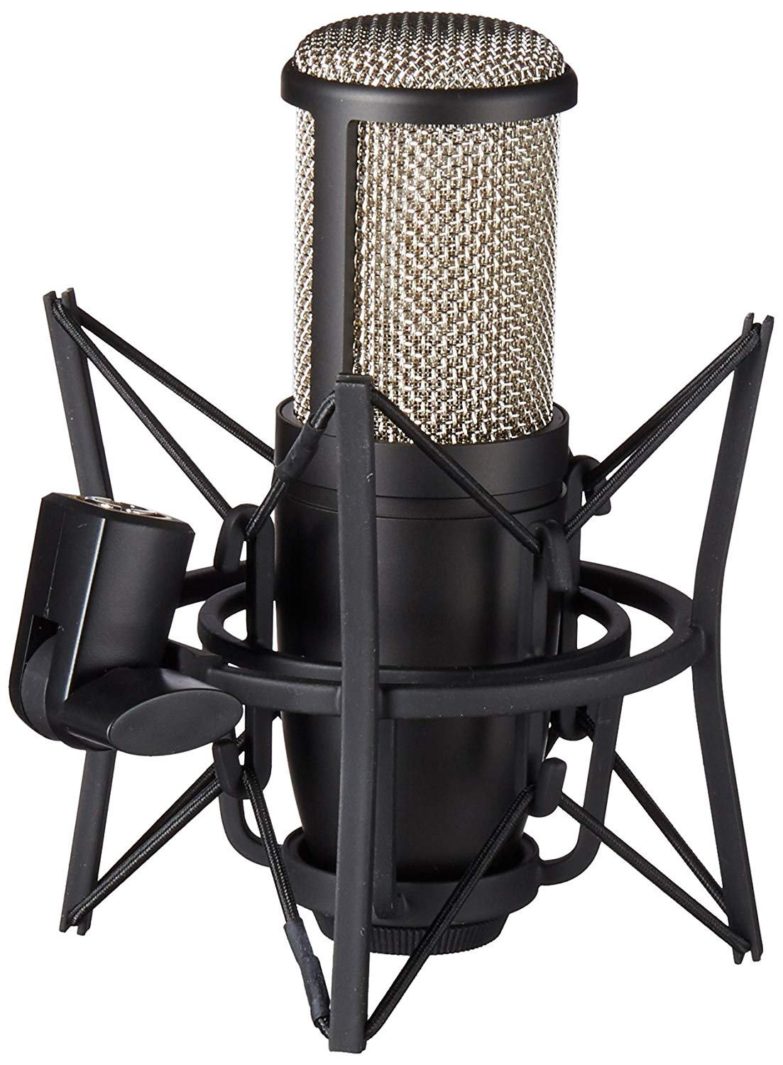 AKG Project Studio P220 Large Diaphragm Condenser Microphone, Pop